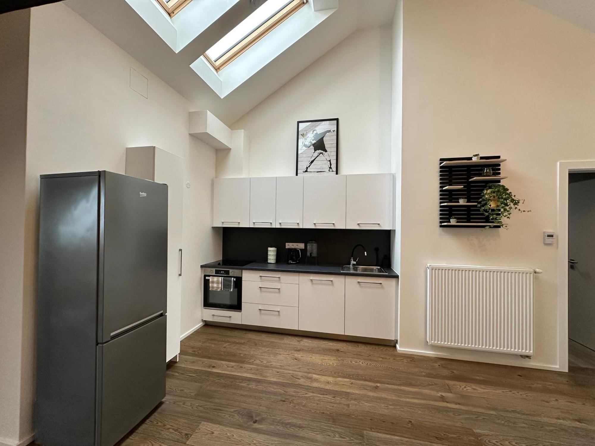 Apartment Loft Prague